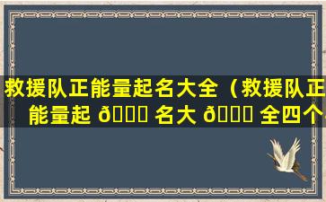 救援队正能量起名大全（救援队正能量起 🐟 名大 🕊 全四个字）